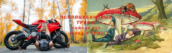 винт Дмитров