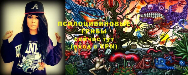 метадон Дмитриев